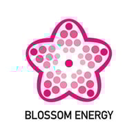 株式会社Blossom-Energy