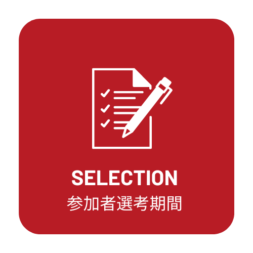 02_selection_ico
