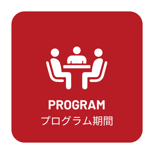 03_program_ico